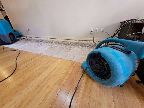 Professional Flood Damage Cleanup technician working in Linden, IA